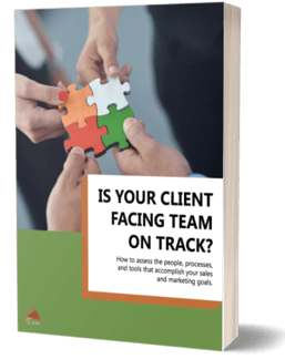 Assess ebook cover