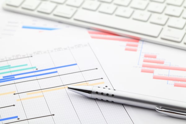 Project gantt chart