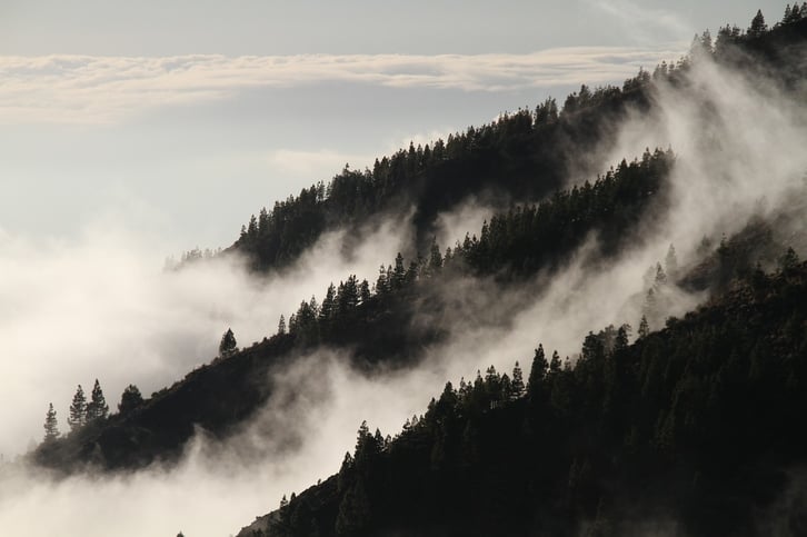 fog-1220491_1280.jpg